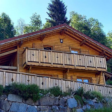 Chalet Typique Vosgien "Les Barbotines" 방트롱 외부 사진